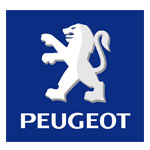 Banner Peugeot Freunde Vogelsberg