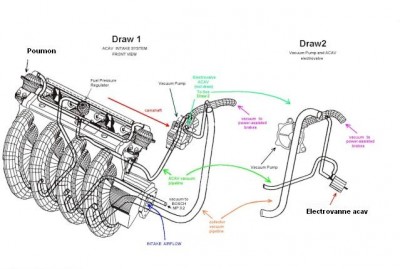 acav1l10.jpg