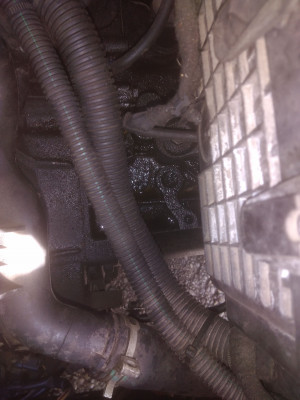 IMG_20201003_112906-min.jpg (679.9 KiB) 4568 mal betrachtet IMG_20201003_112906-min.jpg