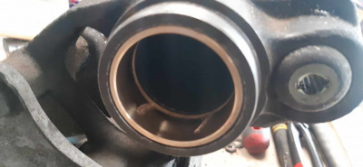 365579179_1338132627109758_4430747442978847780_n.jpg (83.11 KiB) 11777 mal betrachtet 365579179_1338132627109758_4430747442978847780_n.jpg