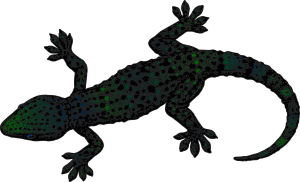 gecko_01.gif