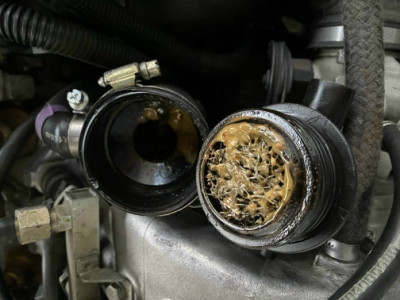 IMG_1044.jpg (159.93 KiB) 7774 mal betrachtet IMG_1044.jpg