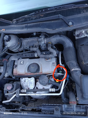 WhatsApp Bild 2025-05-07 um 20.54.45_e2a1bc51.jpg (325.53 KiB) 7859 mal betrachtet WhatsApp Bild 2025-05-07 um 20.54.45_e2a1bc51.jpg