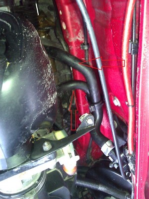 WP_000124.jpg (229.12 KiB) 2790 mal betrachtet WP_000124.jpg