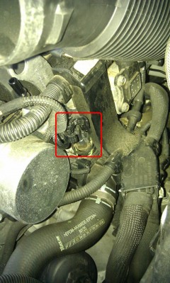 IMAG1293.jpg (224.21 KiB) 11194 mal betrachtet IMAG1293.jpg