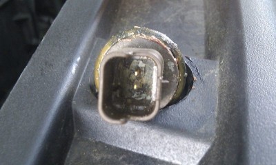 IMAG1305.jpg (64.96 KiB) 11189 mal betrachtet IMAG1305.jpg