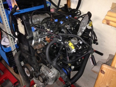 IMG_2594 (Medium).JPG