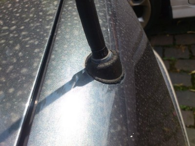 ant.jpg (103.89 KiB) 3409 mal betrachtet ant.jpg