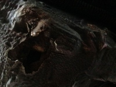 2014-08-17-12.52.05-(3).jpg (137.13 KiB) 4579 mal betrachtet 2014-08-17-12.52.05-(3).jpg