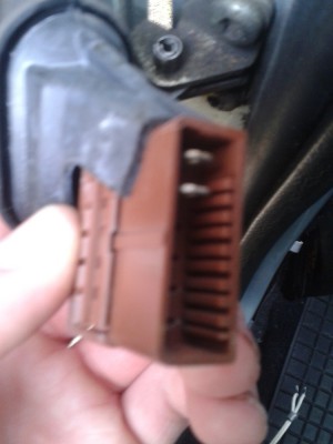 2015-04-25 11.56.32.jpg