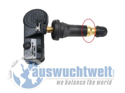 8363.jpg (195.57 KiB) 5543 mal betrachtet 8363.jpg