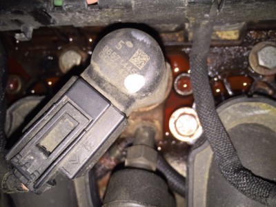 IMG_1744.JPG (124.81 KiB) 712 mal betrachtet IMG_1744.JPG