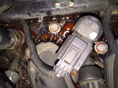 IMG_1746.JPG (133.77 KiB) 713 mal betrachtet IMG_1746.JPG