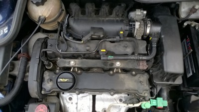 pgt.JPG (244.13 KiB) 2850 mal betrachtet pgt.JPG