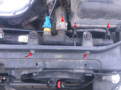 DSC_3491 - Kopie.JPG (110.5 KiB) 15684 mal betrachtet DSC_3491 - Kopie.JPG